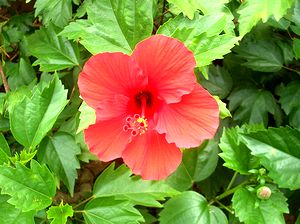 �܂��Ō�������