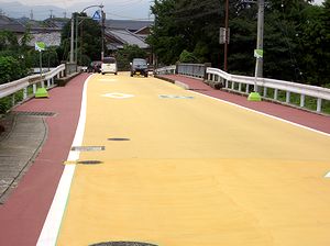 ���F�ɓh��ꂽ���H�͖ڂ�����i������Łj