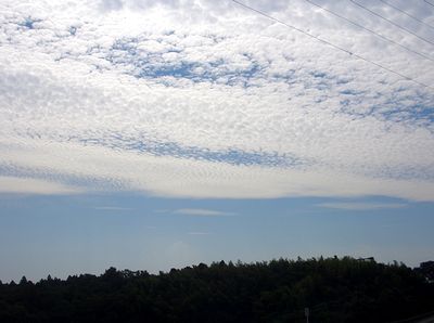 �����̏H�̋�i�쑺�Łj