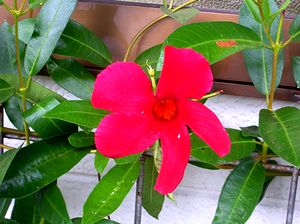 �܂��Ō�������