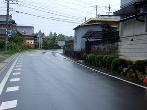 �댯�ȃJ�[�u�̂��錧�����ؐ������i�����瓌������j