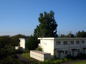 �v���Ԃ�̐��V�̓��@����Q�K����̕��i