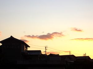 �����̓��̏o�̍��i������Łj