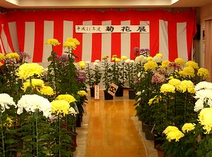 �쑺�R�~���j�e�B�ł̋e�ԓW���