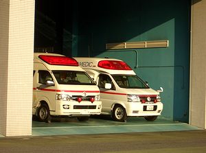 ���h�{���ɂ���~�}��