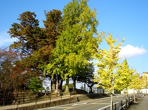 �g�t���n�܂����i�����E�̎��Ӂj