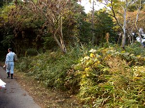 �a��̎s�L��