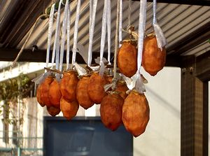 �ߏ��̉Ƃɂ邳�ꂽ�����`