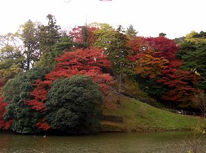 �T�R�����̍g�t