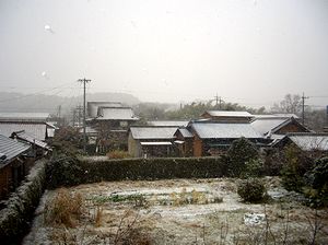 �����A����Q�K���猩����i�F