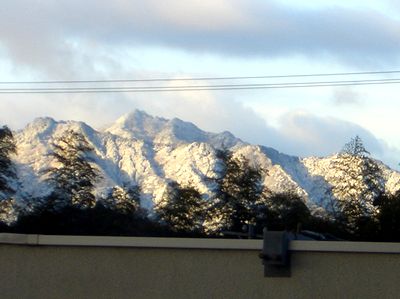 �����A����Q�K�̑����琼�i�֕��ʁj������@�����ɉf����R�X