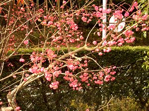 ���Ō���������