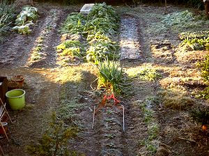 ���̍~�肽�ƂȂ�̔�