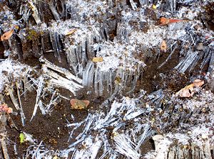 ��̑����i����j