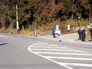 �������̒��A�撣��I�肽���i�V�֏�̓�̌����j