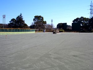 ����������ړI�O�����h�̉��C�H��