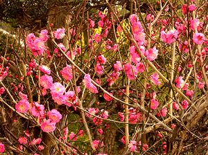 �t���߂Â��Ă���