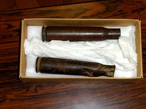 �����A����߂��ŏE��ꂽ�򂫂傤