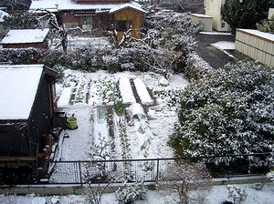 �����͋v���Ԃ�ɐႪ�~��܂���