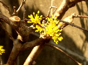 �܂��Ō�������