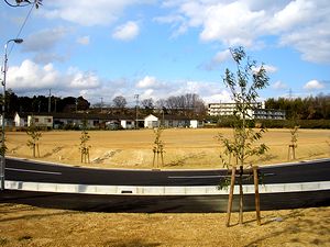 �V�֏�̐i���H����݂�