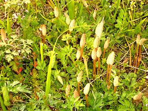 ����������o����