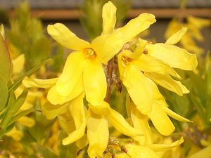 �܂��Ō�������