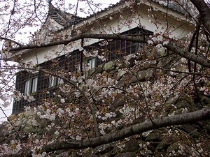 �Q���炫���R���炫���i�����E�̍��j