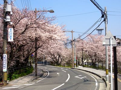 �ʐ^��O�̕����ɉw�O������