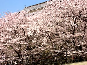 �����E�ƍ��i�V��������j