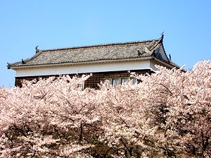 �����E�ƍ��i�V��������j