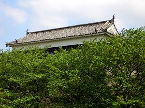 ��������V�΂ƂȂ��������E�i������₮��j