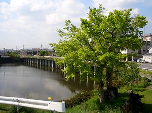 �r�̑��i����j