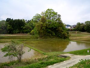 �c�A�����n�܂��Ă��܂��B�^�񒆂ɓ���������ł���悤�ł��B�i����c���Łj