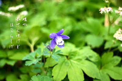 ���i�����܂��j�̉�